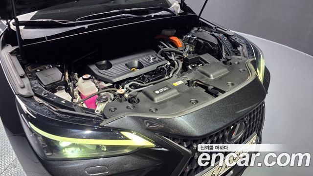 Lexus NX 2023 — photo 6