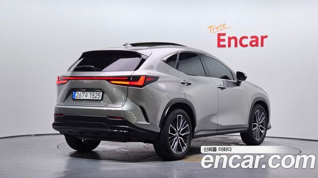 Lexus NX 2025 — photo 2