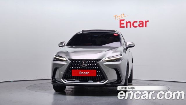 Lexus NX 2025 — photo 3