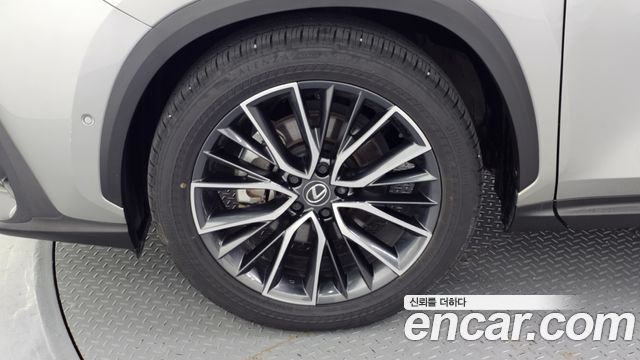 Lexus NX 2025 — photo 5