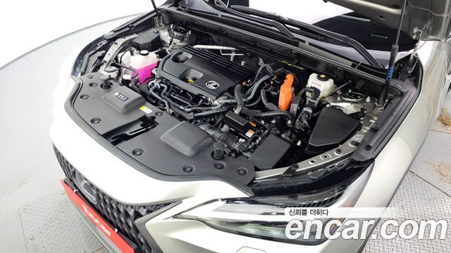 Lexus NX 2025 — photo 6