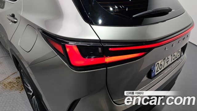Lexus NX 2025 — photo 9