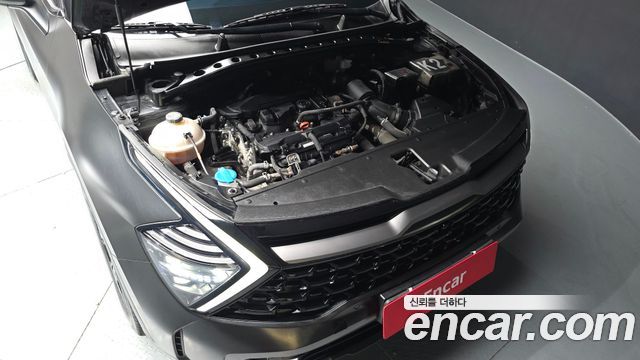 Kia Sportage 2023 — photo 6