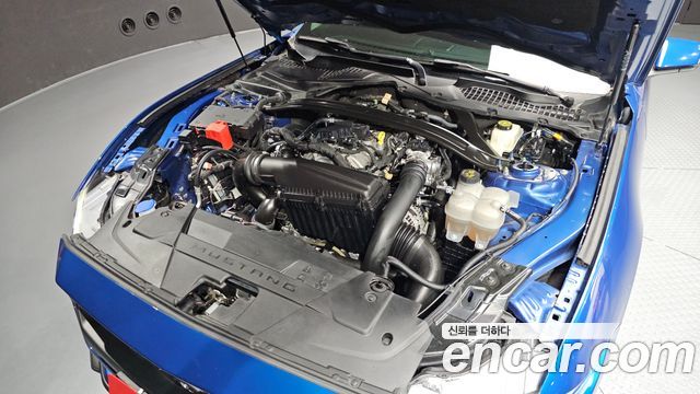 Ford Mustang 2024 — photo 6