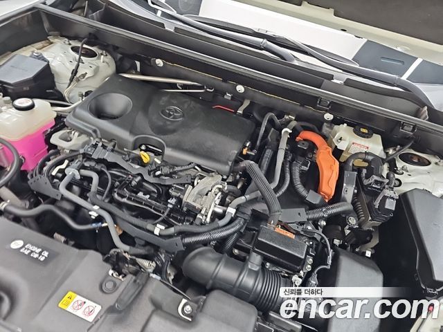 Toyota RAV4 2019 — photo 6