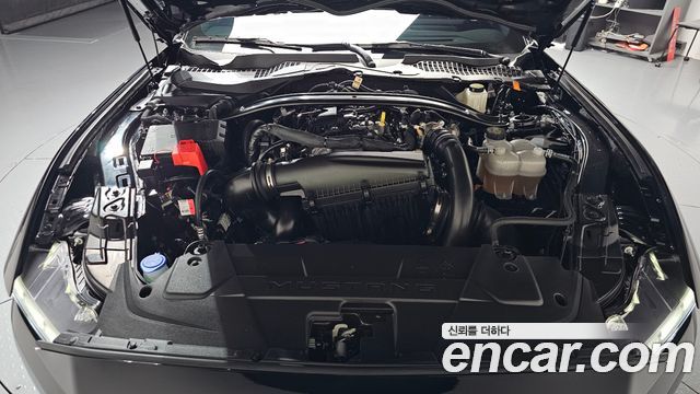 Ford Mustang 2024 — photo 6