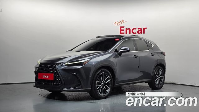 Lexus NX 2023 — photo 1