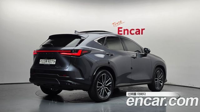 Lexus NX 2023 — photo 2