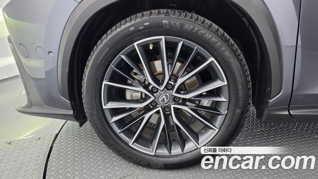 Lexus NX 2023 — photo 5