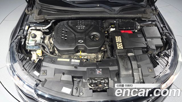 Renault Korea SM6 2016 — photo 6