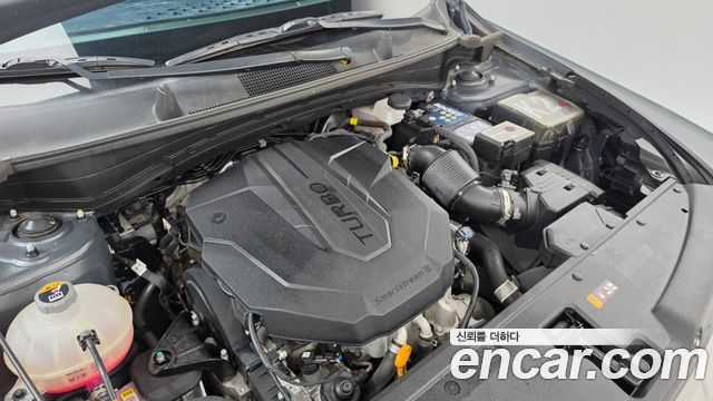 Kia Sportage 2022 — photo 6