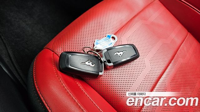 Ford Mustang 2019 — photo 16