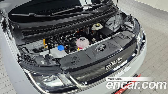 BYD Dolphin 2026 — photo 6