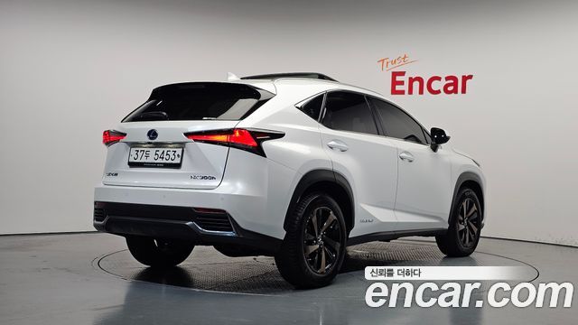 Lexus NX 2019 — photo 2