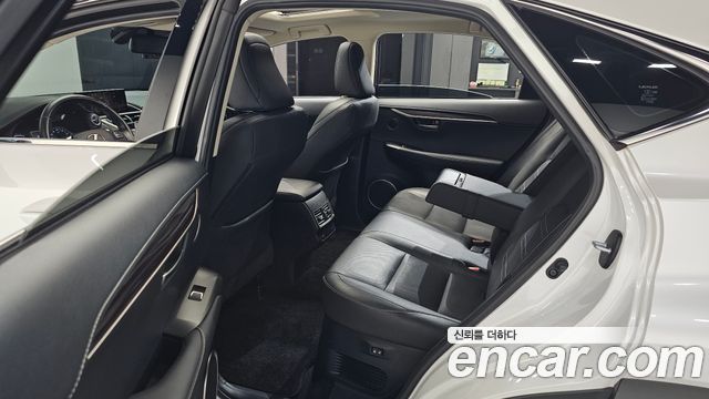 Lexus NX 2019 — photo 18