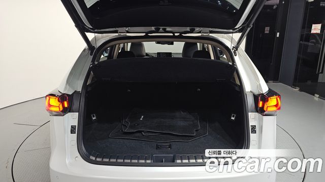 Lexus NX 2019 — photo 26