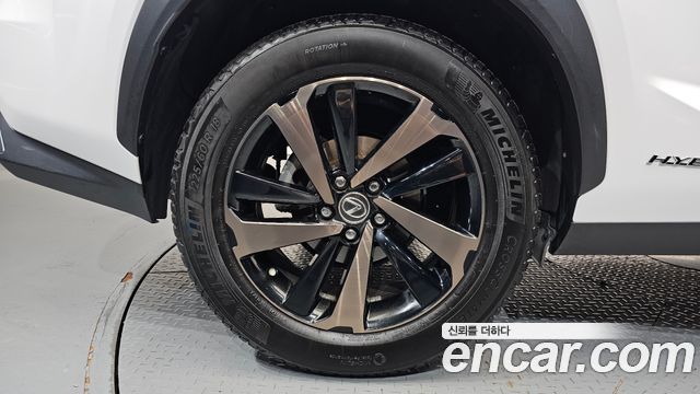 Lexus NX 2019 — photo 7