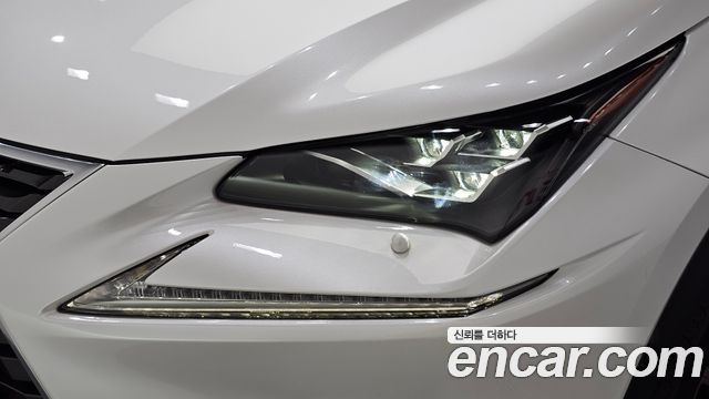Lexus NX 2019 — photo 8