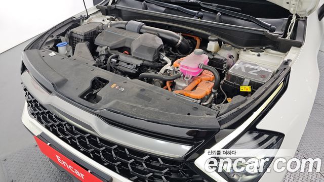 Kia Sportage 2024 — photo 6
