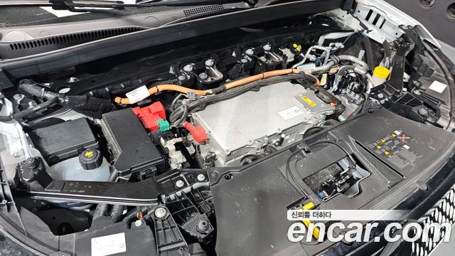 Renault Korea Scenic 2026 — photo 6