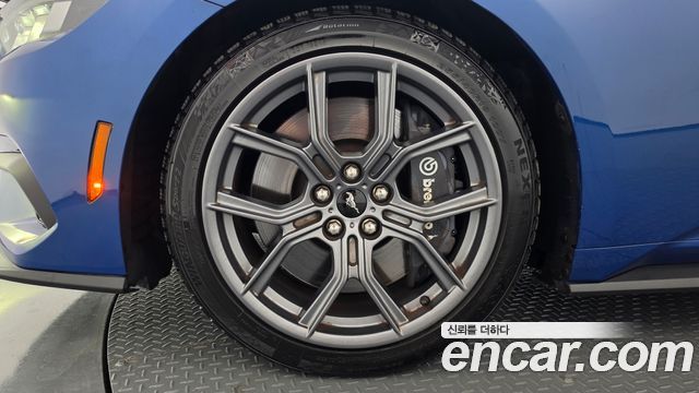 Ford Mustang 2024 — photo 5