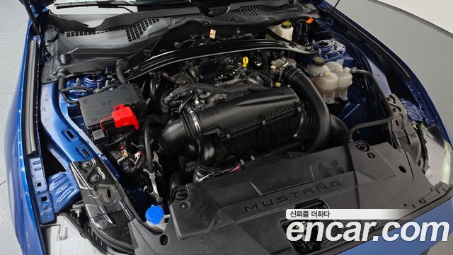 Ford Mustang 2024 — photo 6