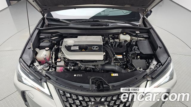 Lexus UX 2019 — photo 6