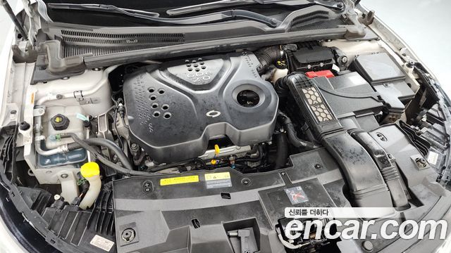 Renault Korea SM6 2016 — photo 6