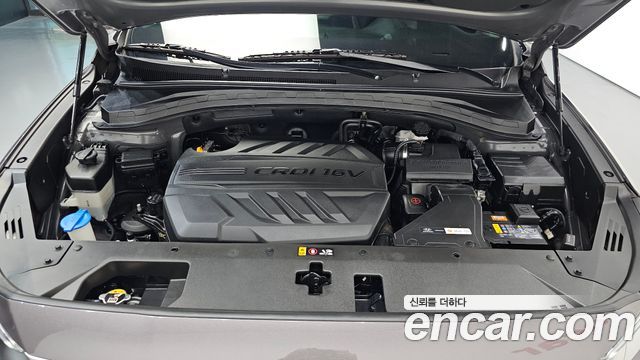 Hyundai Santafe 2019 — photo 6