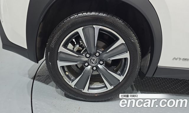 Lexus UX 2019 — photo 5