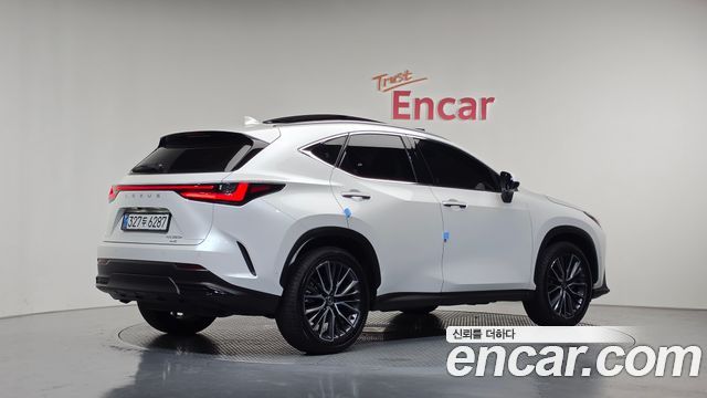 Lexus NX 2025 — photo 2