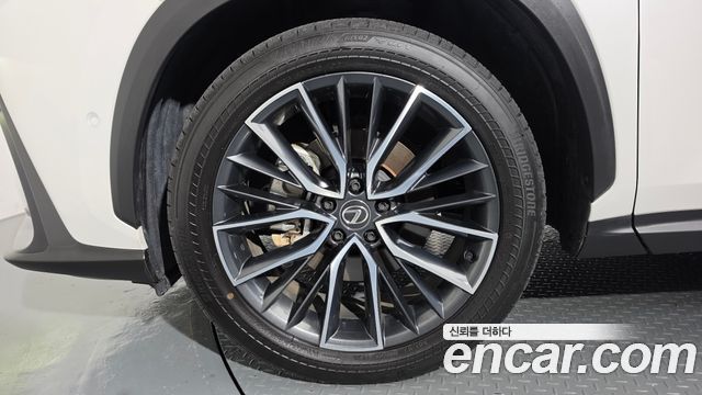 Lexus NX 2025 — photo 5