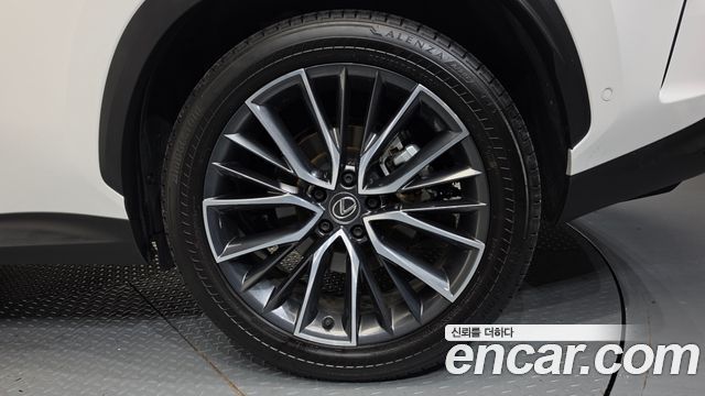Lexus NX 2025 — photo 7