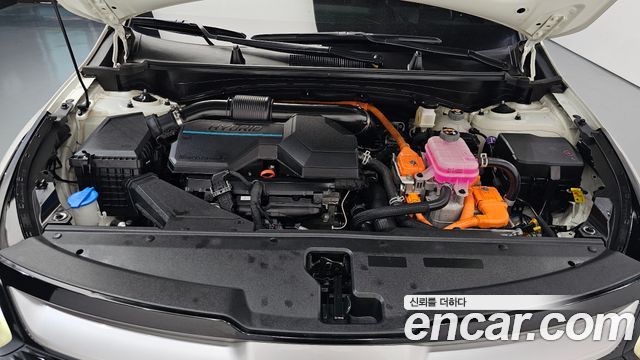 Kia Sportage 2022 — photo 6