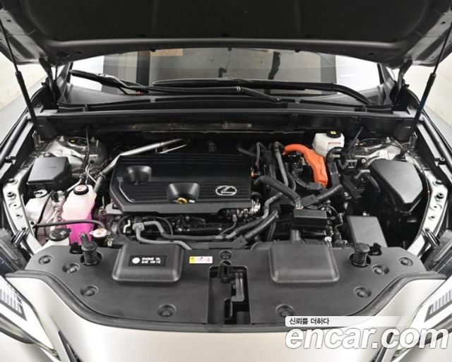 Lexus NX 2025 — photo 6