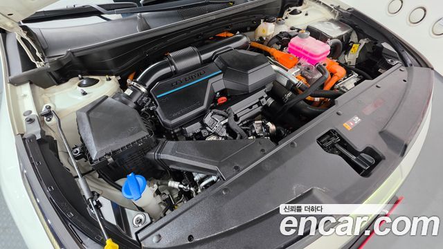 Kia Sportage 2024 — photo 6