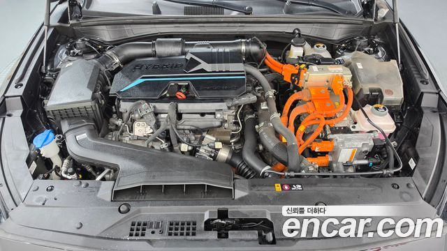 Kia K8 2023 — photo 6