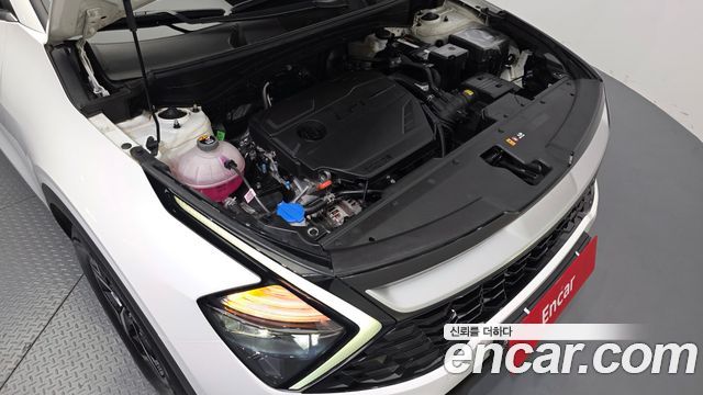 Kia Sportage 2024 — photo 6