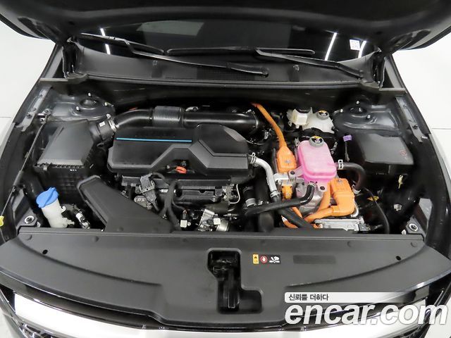 Kia Sportage 2024 — photo 6