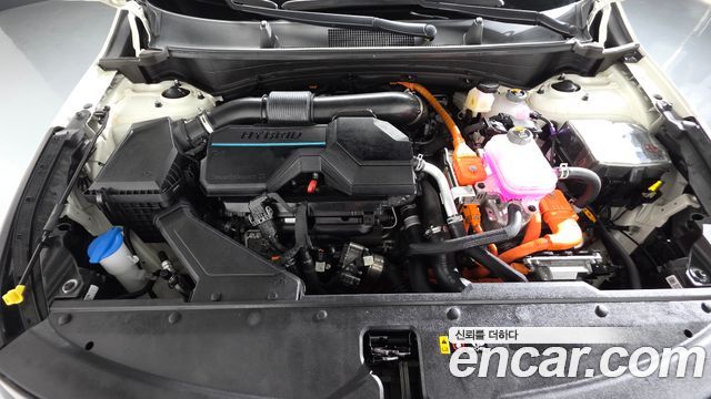 Kia Sportage 2024 — photo 6