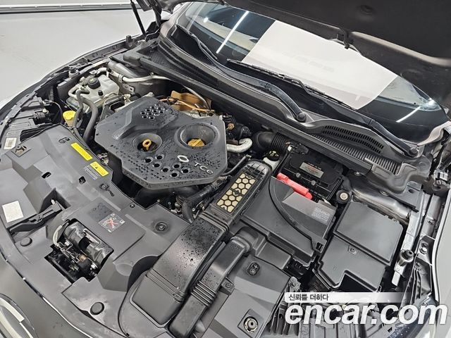 Renault Korea SM6 2016 — photo 5