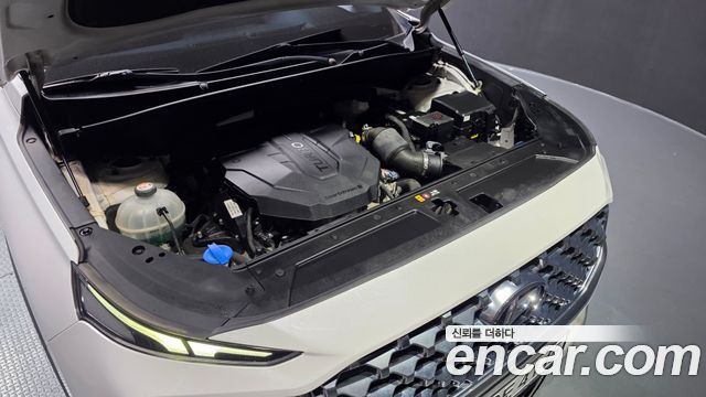 Hyundai Santafe 2021 — photo 6