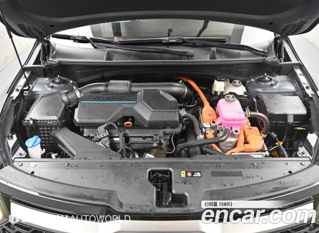 Kia Sportage 2023 — photo 6