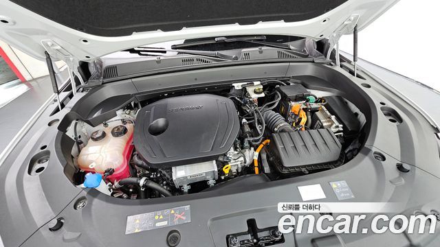 Renault Korea Grand Koleos 2025 — photo 6