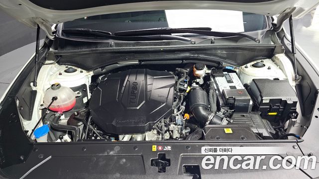 Hyundai Santafe 2023 — photo 6