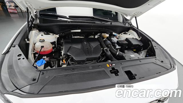 Hyundai Santafe 2021 — photo 6