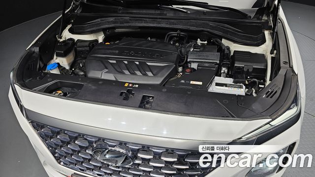 Hyundai Santafe 2019 — photo 6
