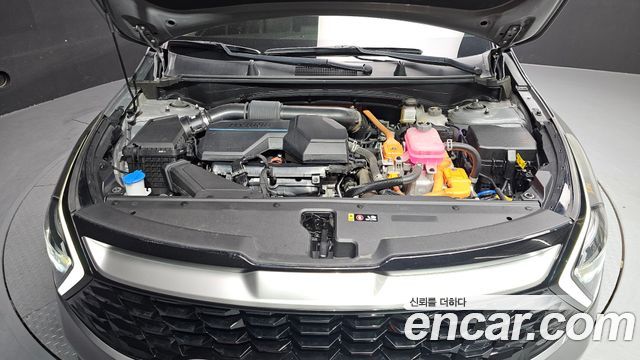 Kia Sportage 2023 — photo 6