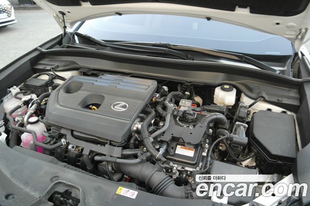 Lexus UX 2025 — photo 20