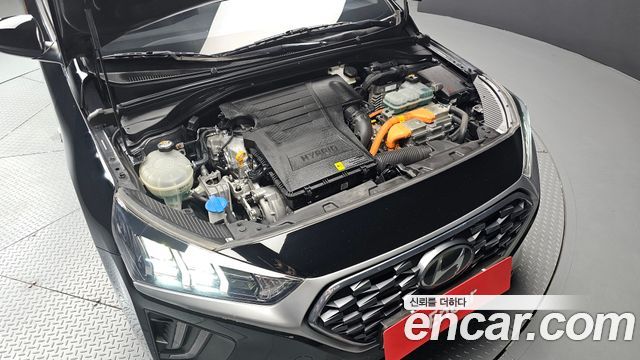 Hyundai Ioniq 2020 — photo 6